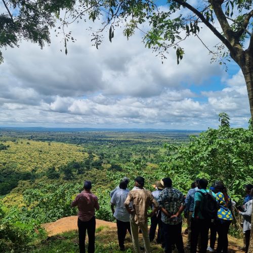 Commercial Forestry Exposure and Learning Visit to Ghana
